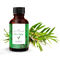 Tea Tree Natural Essential Oils Apothecary Extracts No Additives For Skin Care