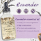 ODM Herbal Lavender Essential Oil For Face Body Nourishing
